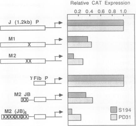 graphic file with name pnas01087-0279-a.jpg