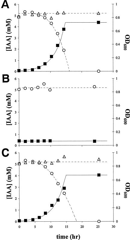 FIG. 2.