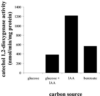 FIG. 3.