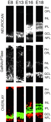 Figure 13