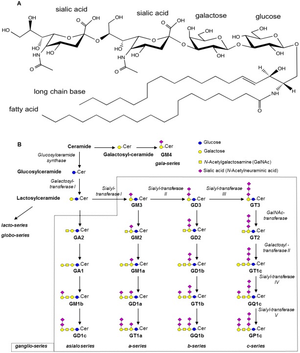 Fig 1