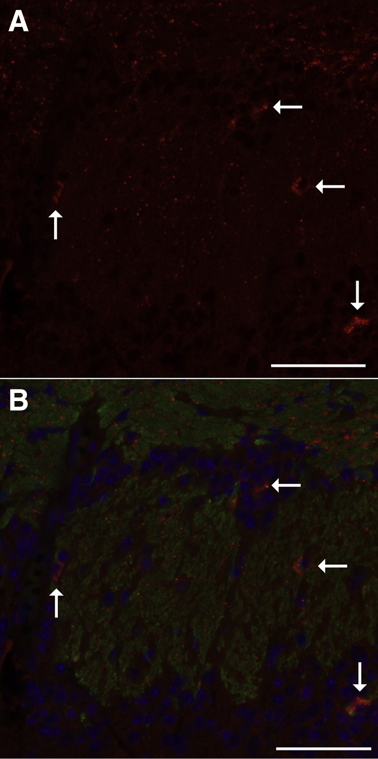 Figure 9