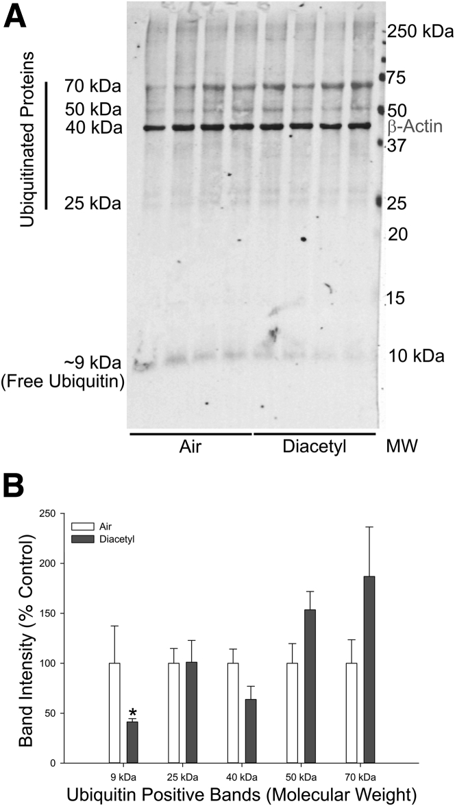 Figure 7