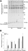 Figure 7