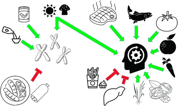 FIGURE 2