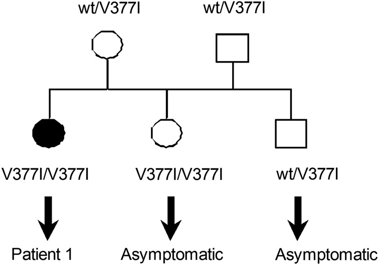 Figure 1