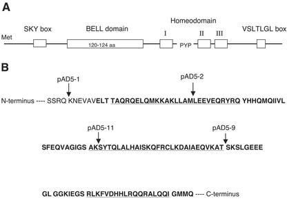 Figure 3.