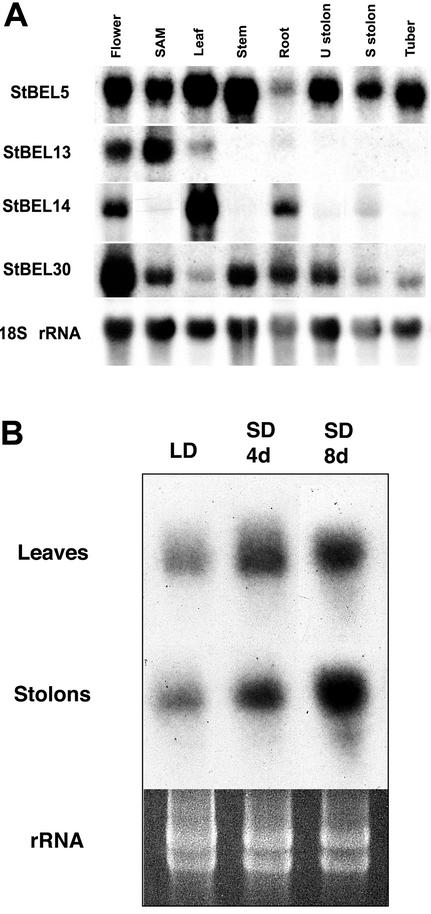 Figure 4.