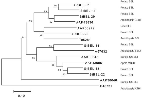 Figure 2.