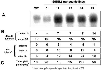 Figure 6.