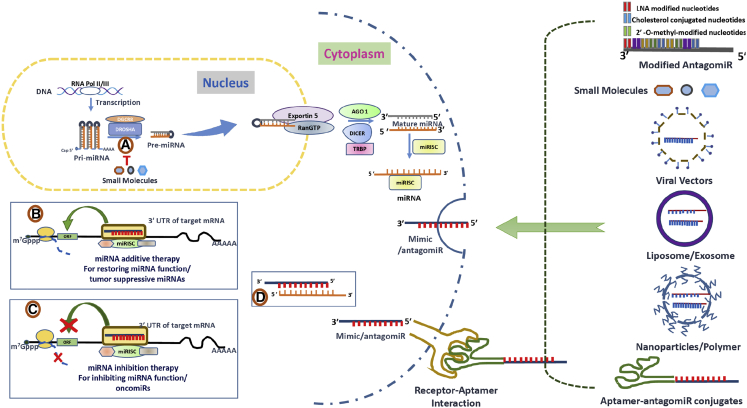 Figure 3