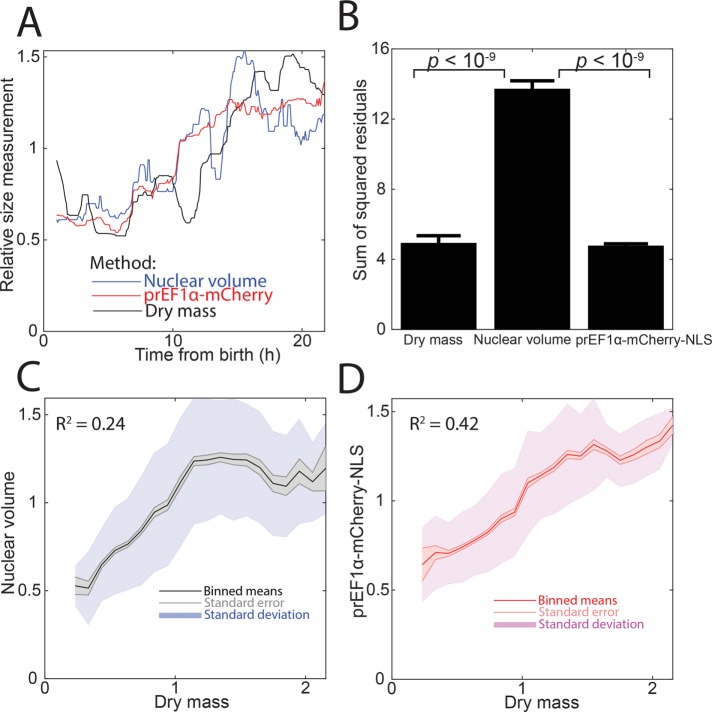 FIGURE 5: