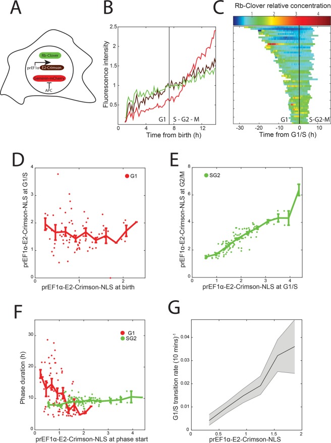 FIGURE 6: