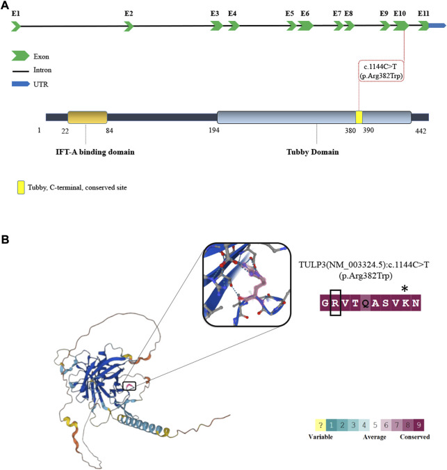 FIGURE 2