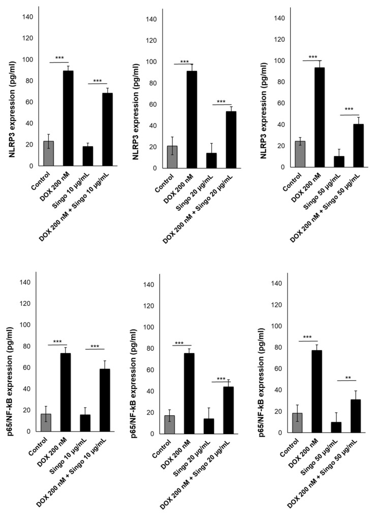 Figure 12