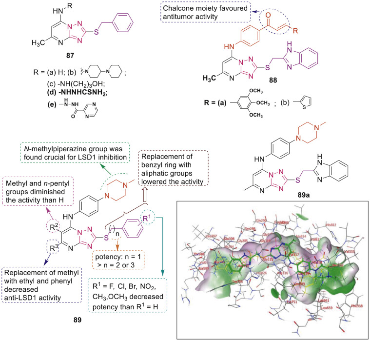 Fig. 21