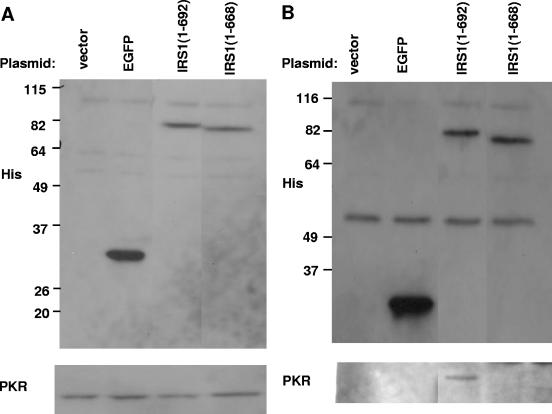 FIG. 8.