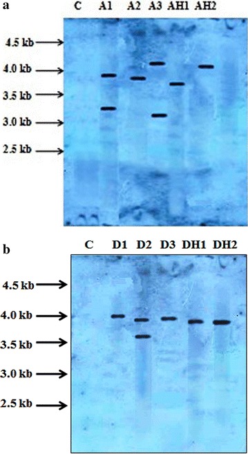 Fig. 4