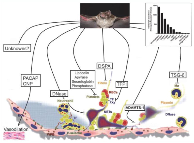 Figure 14