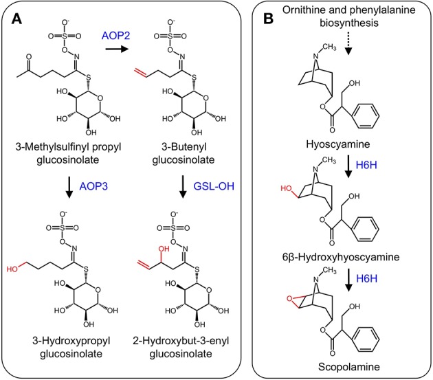 Figure 7