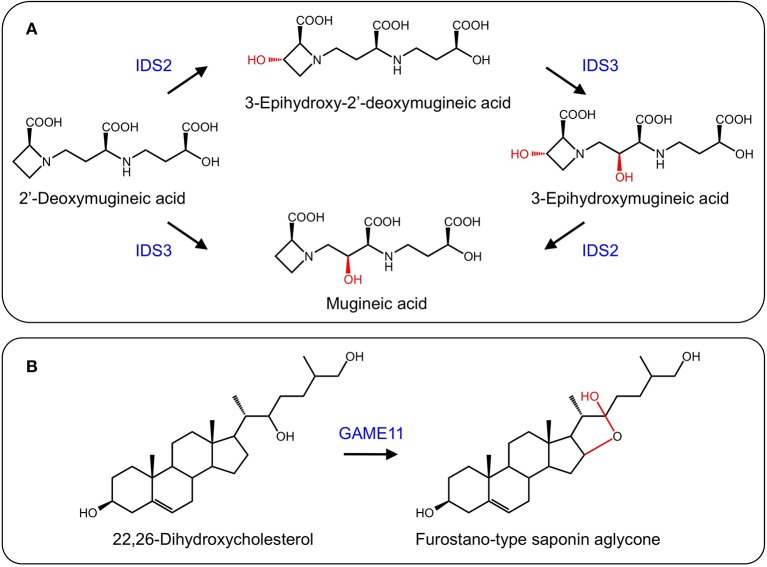 Figure 9