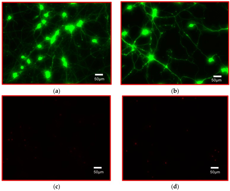 Figure 17