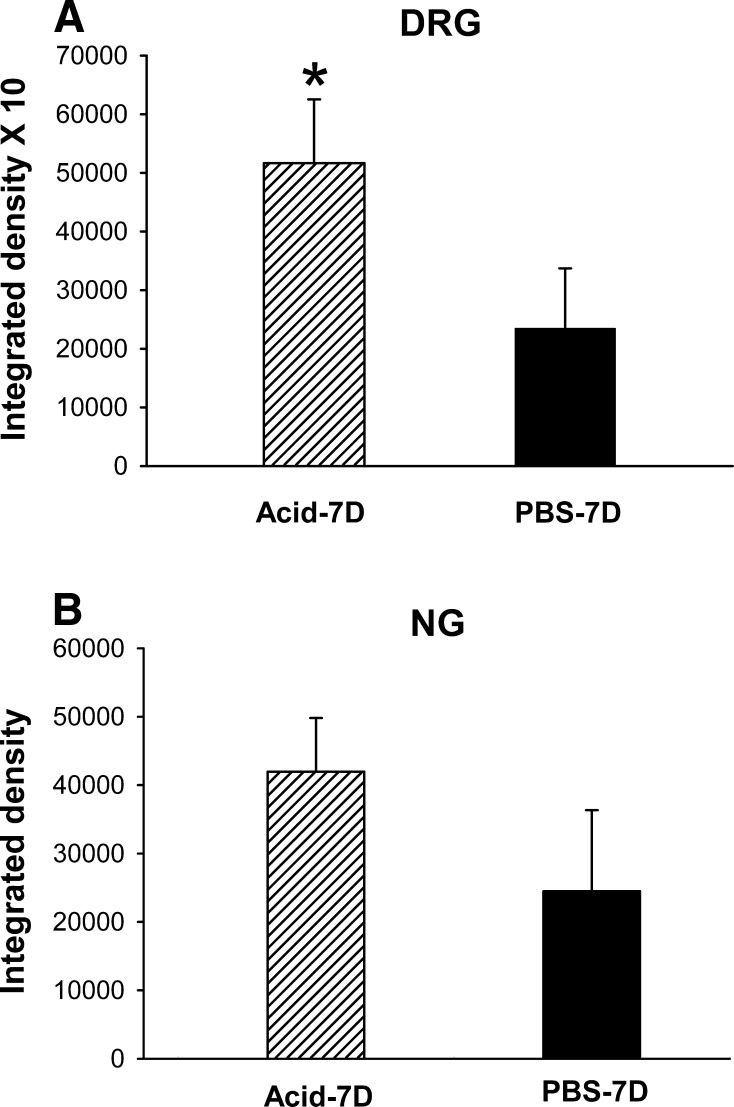 Fig. 9.