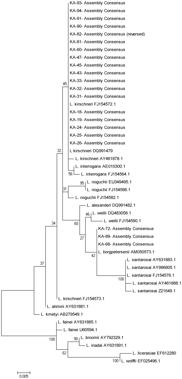 Figure 5