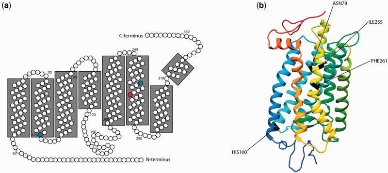 Fig. 2