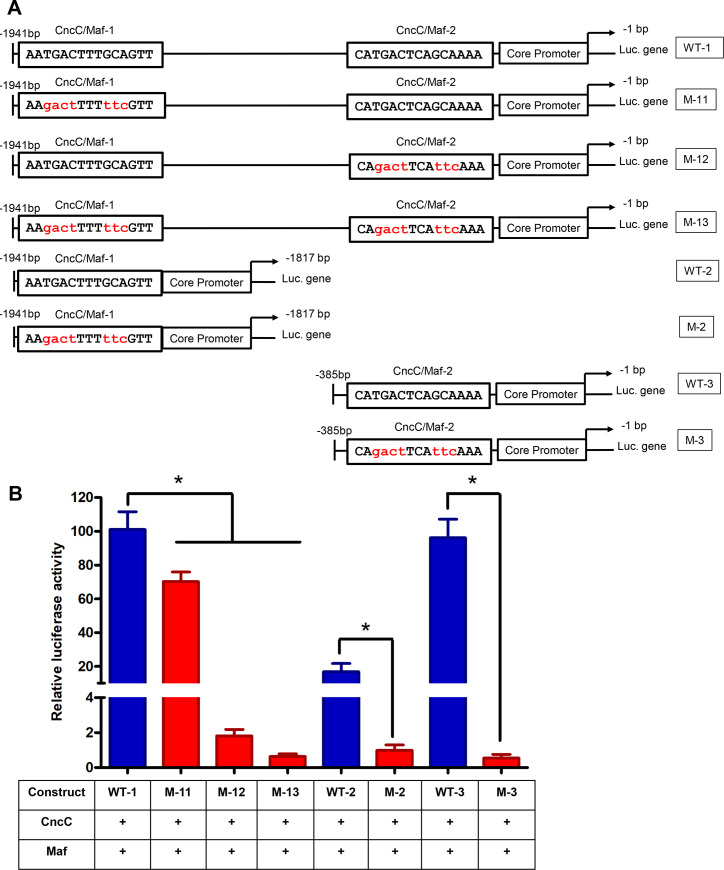 Fig 4