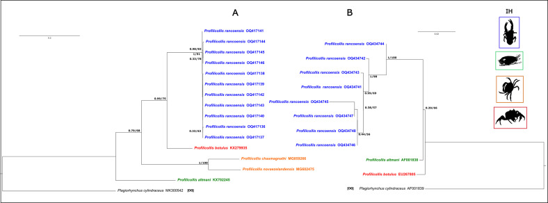 Figure 27