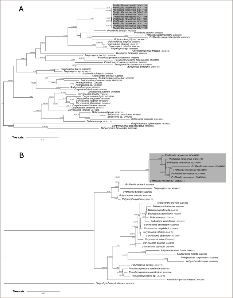 Figure 26