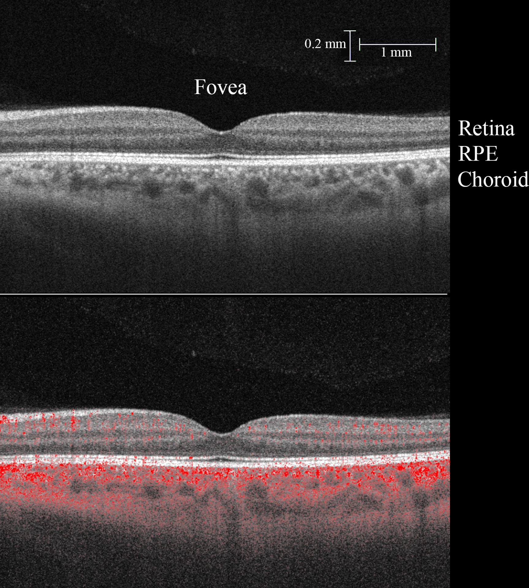 Figure 2: