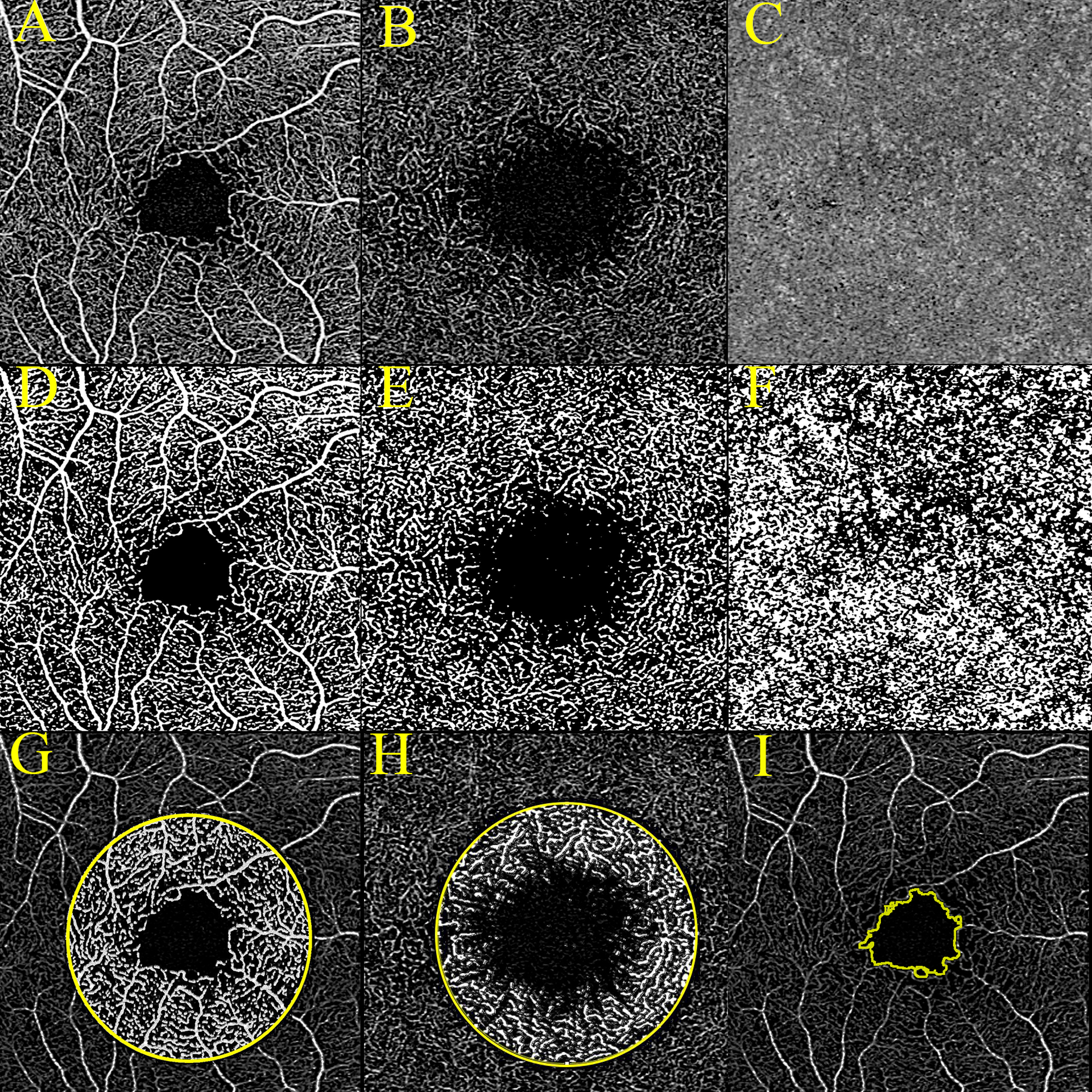 Figure 3: