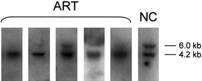 Figure  1