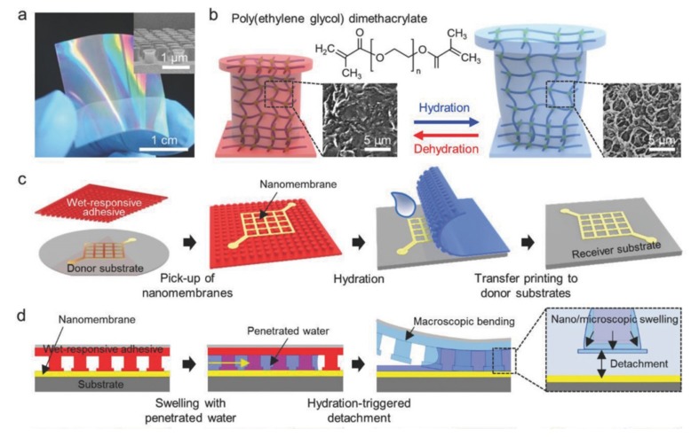 Figure 24