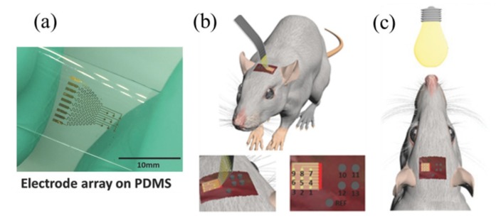 Figure 23