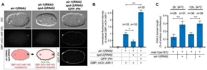 Figure 6—figure supplement 1.