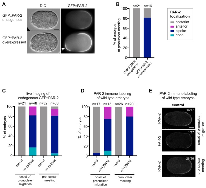 Figure 1—figure supplement 2.