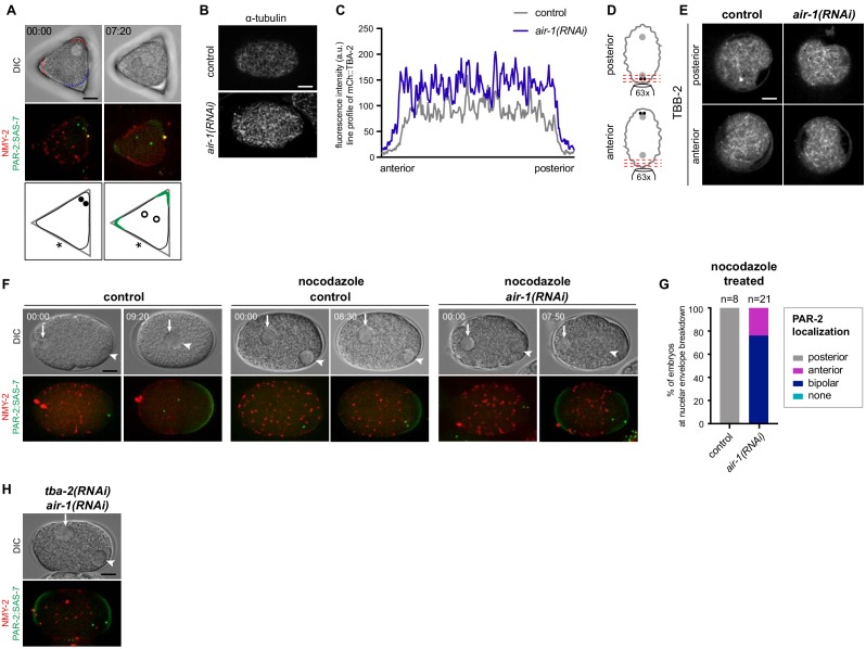 Figure 3—figure supplement 1.