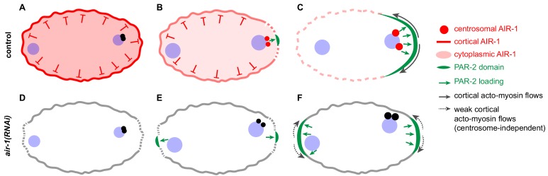 Figure 8.