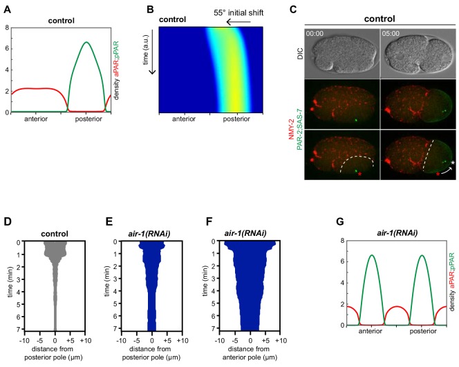 Figure 4—figure supplement 1.