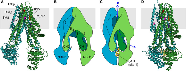 Fig. 1