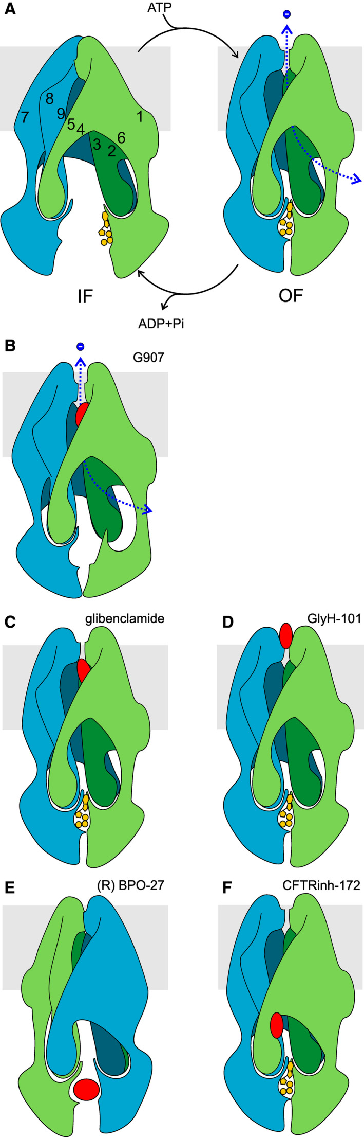 Fig. 5