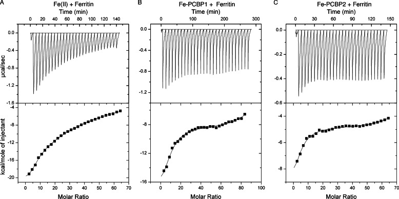 FIGURE 4.