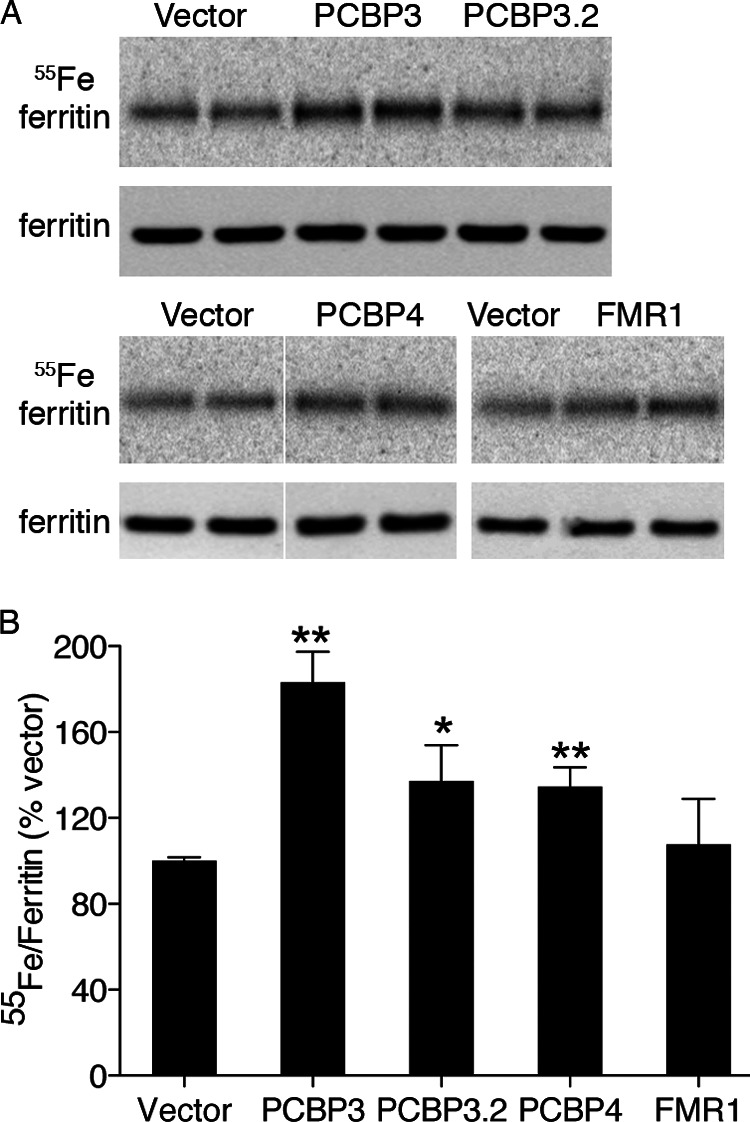 FIGURE 9.