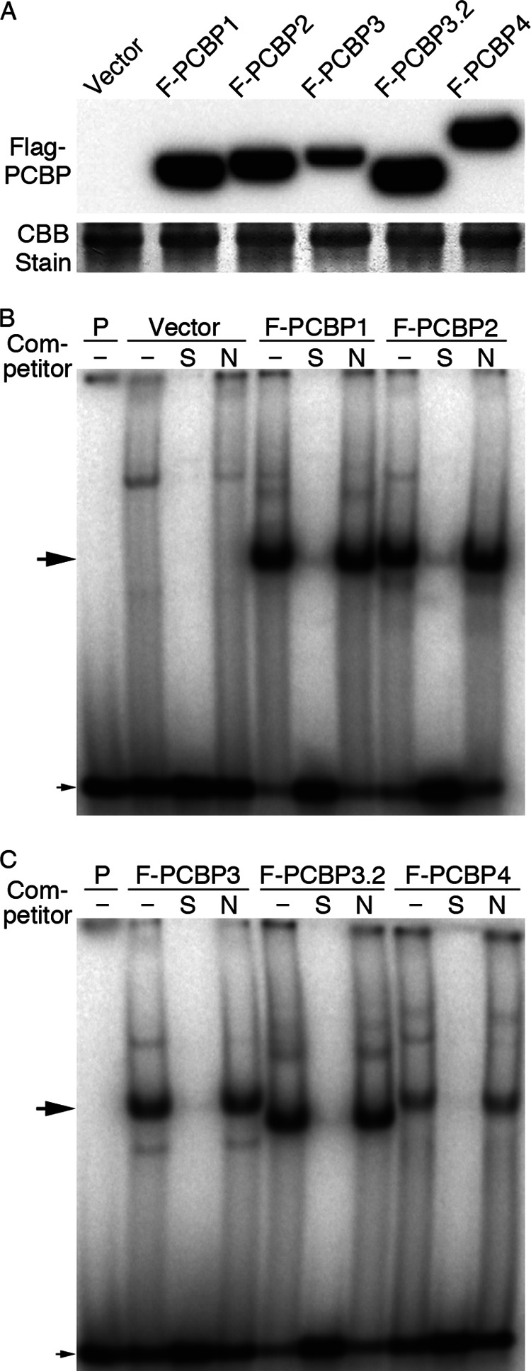 FIGURE 7.