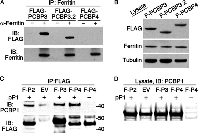 FIGURE 11.