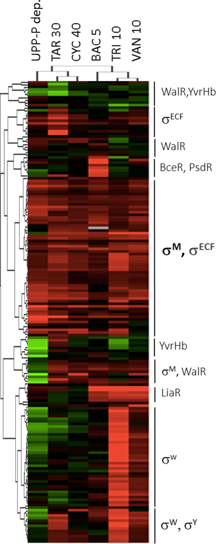 FIG 6