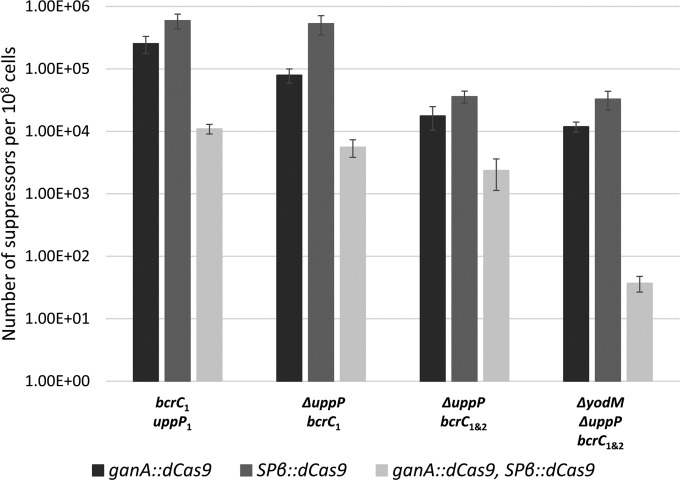 FIG 2